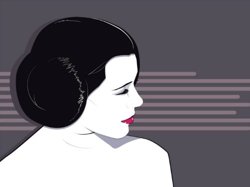 Princess Leia Artwork